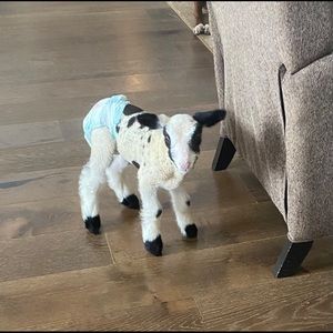 Meet your Posher, Deb